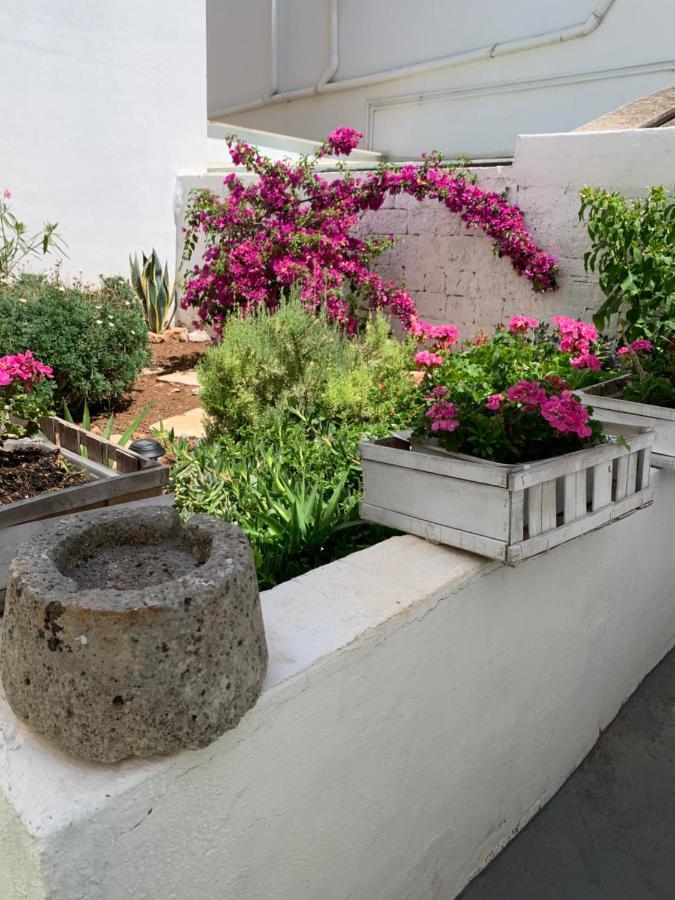 Le Cummerse In Centro Alberobello Exteriér fotografie